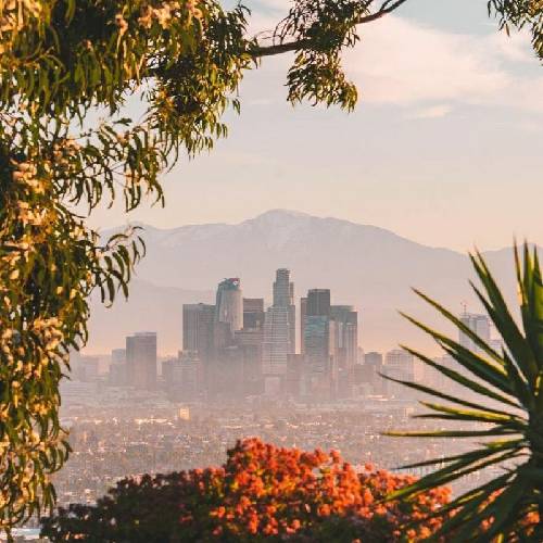 گشنمه راحت تا 5 ماه میخوریم راحت تا 10 ماه میخوریم گشنمه فقط